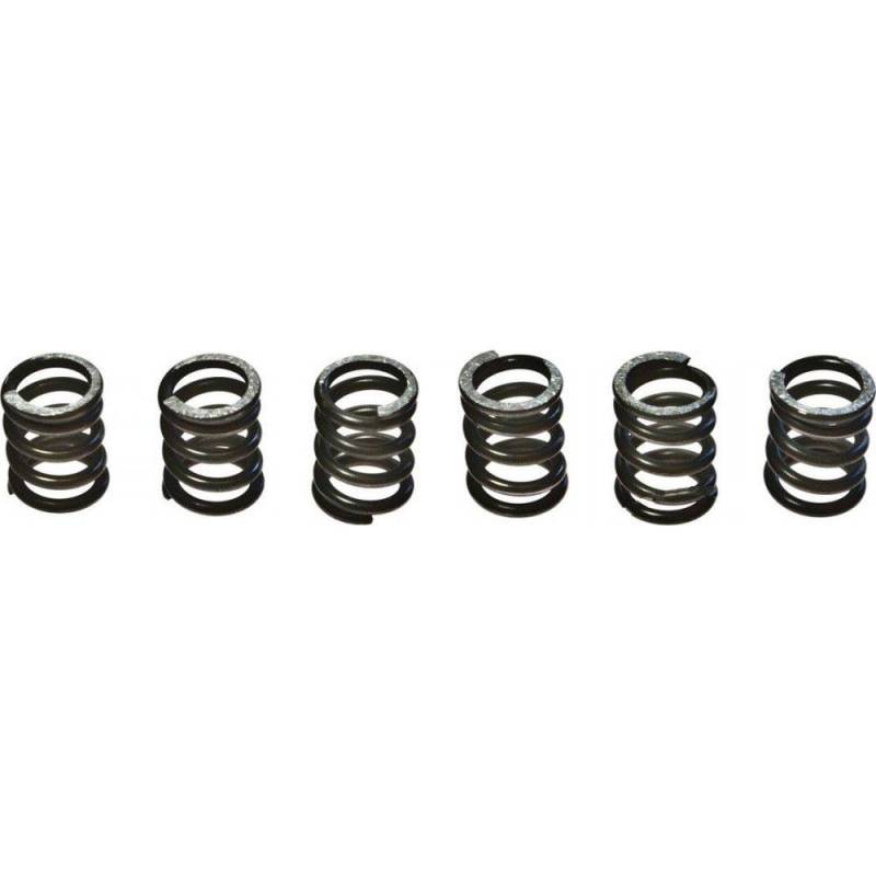 EBC Clutch Spring Kit CSK71