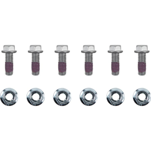 Moto-Master 12015-PU Brake Rotor Bolts - M6x16