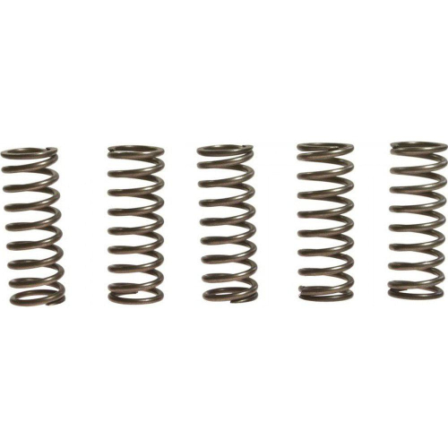 EBC - EBC CSK Clutch Spring Kit - CSK156