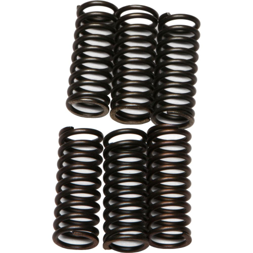 EBC - EBC CSK Clutch Spring Kit - CSK32