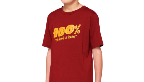 100% - 100% Price Youth T-Shirt - 34087-068-05 - Brick - Medium