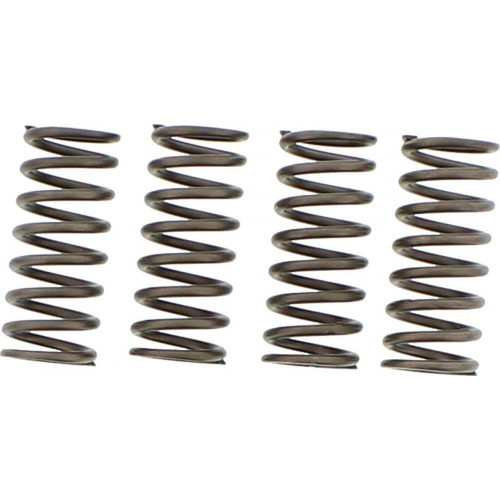 EBC - EBC CSK Clutch Spring Kit - CSK155