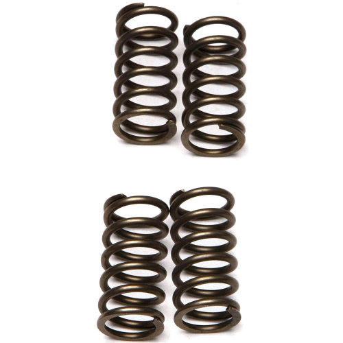 EBC - EBC CSK Clutch Spring Kit - CSK142