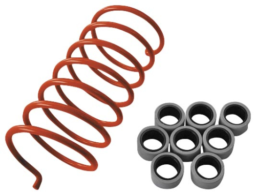 Dalton Clutches - Dalton Clutches Clutch Kit - Stock to 28in. Tire - DSK750C