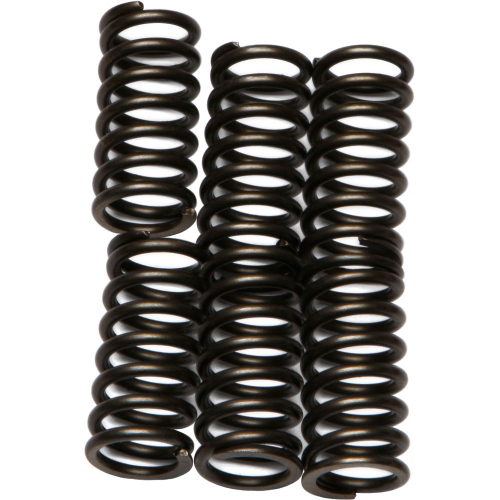 EBC - EBC CSK Clutch Spring Kit - CSK99
