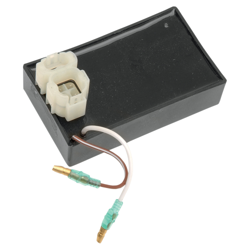 Ricks Motorsport Electric - Ricks Motorsport Electric CDI Box - 15-505