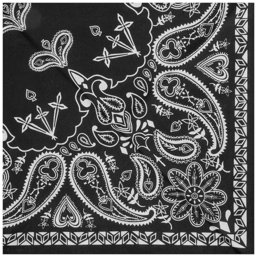 Zan Headgear - Zan Headgear 3-in-1 Headband - BV001 - Black Paisley - OSFM