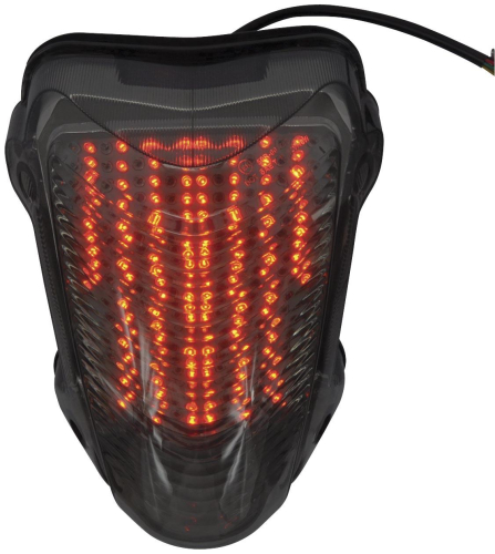 BikeMaster - BikeMaster Integrated Taillight - Clear Lens - TZBMW-136-INT