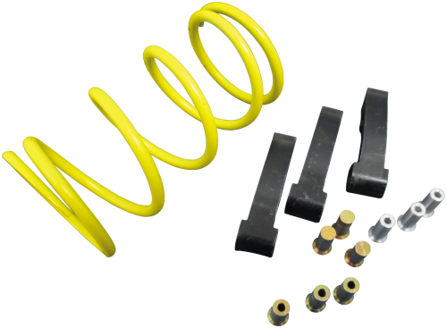 Dalton Clutches - Dalton Clutches Clutch Kit - DMC1000-13