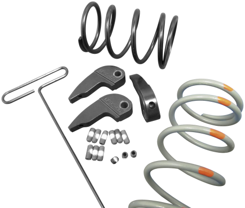 Dalton Clutches - Dalton Clutches Clutch Kit - DUVP570