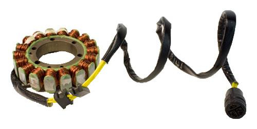 Ricks Motorsport Electric - Ricks Motorsport Electric Stator - XF-50-RE21709