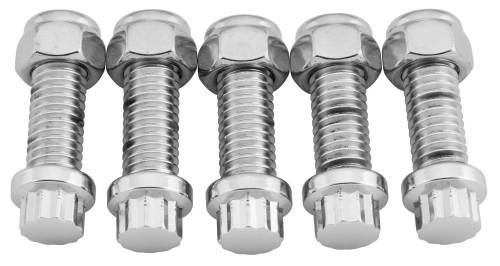 Colony - Colony Rear Sprocket and Pulley Hardware Kit - 12 Point Style - 2276-10