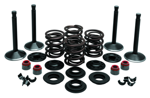 Twin Power - Twin Power Engine Kit - T20-20920