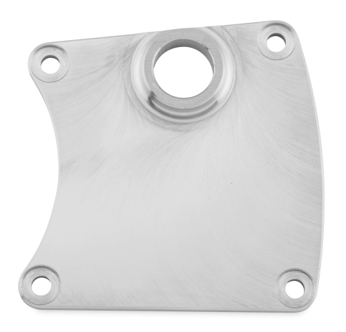 Bikers Choice - Bikers Choice Inspection Cover for FXR - Natural - 4631