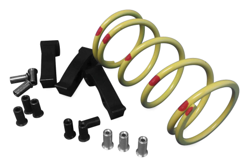 Dalton Clutches - Dalton Clutches Clutch Kit - DBC 800-13