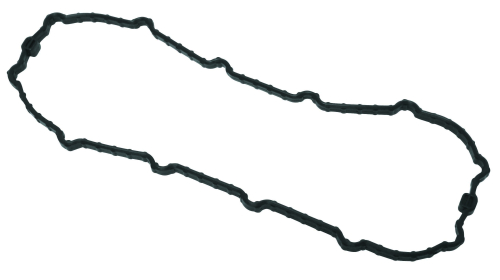 Twin Power - Twin Power Fuel Pump Door Seal - Viton - 23-137