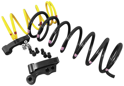 Dalton Clutches - Dalton Clutches Clutch Kit - Adjustable - DBO 1000X