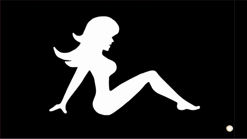 Dragonfire Racing - Dragonfire Racing Whip Flag - One-Sided - Trucker Girl - 04-0103