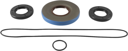 QuadBoss - QuadBoss Differential Bearing and Seal Kit - 532521005
