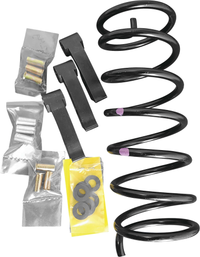 Dalton Clutches - Dalton Clutches Clutch Kit - DBM 1000M