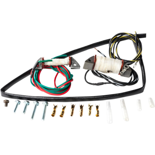 Ricks Motorsport Electric - Ricks Motorsport Electric Stator Rebuild Kit - 22-708