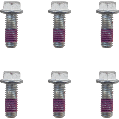 Moto-Master - Moto-Master Brake Rotor Bolts - M6x16 - 12003-PU
