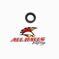 All Balls - All Balls Seal - I.D. x O.D. x Width: 19 x 30 x 7 - 30-3004