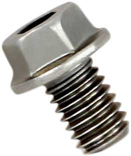 Akrapovic - Akrapovic Replacement Bolt - P-FB40