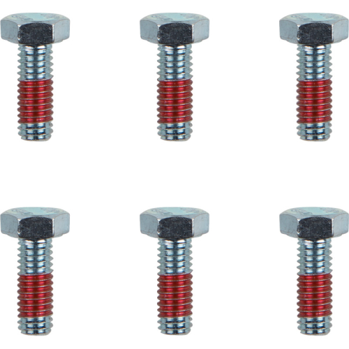 Moto-Master - Moto-Master Brake Rotor Bolts - M6x17 - 12021-PU