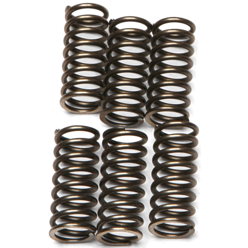 EBC - EBC CSK Clutch Spring Kit - CSK120