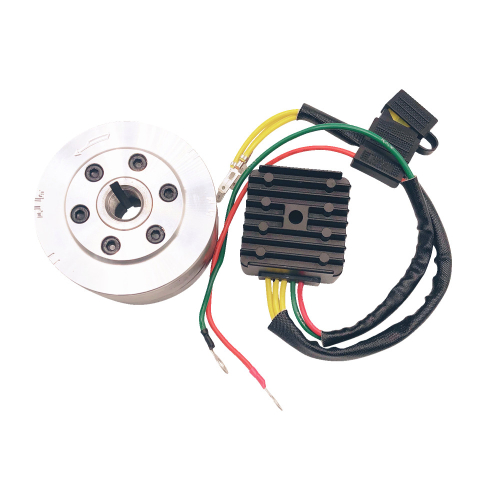 Ricks Motorsport Electric - Ricks Motorsport Electric Charging Kit - Honda - 99-111