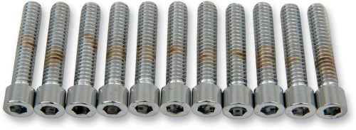 Drag Specialties - Drag Specialties Coarse-Thread Socket-Head Bolts - 1/4in.-20 x 1 1/4in. - MPB182S