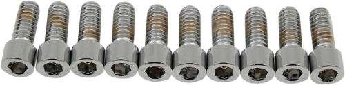 Drag Specialties - Drag Specialties Coarse-Thread Socket-Head Bolts - 1/4in.-20 x 5/8in. - MPB178S