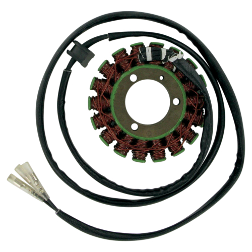 Ricks Motorsport Electric - Ricks Motorsport Electric Stator - 21-301