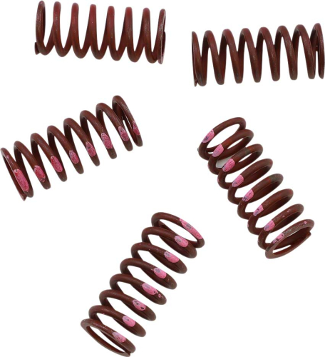 KG Clutch Factory - KG Clutch Factory High Performance Clutch Spring Set - KGS-056