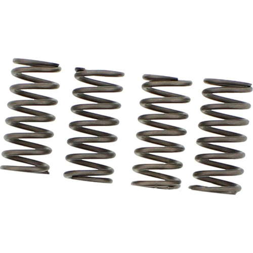EBC - EBC CSK Clutch Spring Kit - CSK153