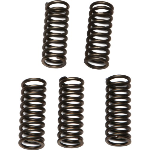 EBC - EBC CSK Clutch Spring Kit - CSK97