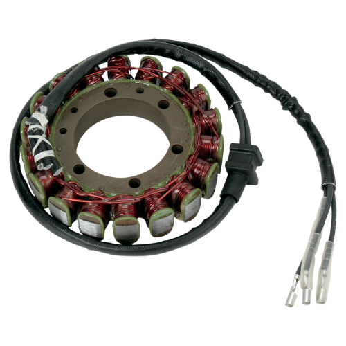 Ricks Motorsport Electric - Ricks Motorsport Electric Stator - 21-204