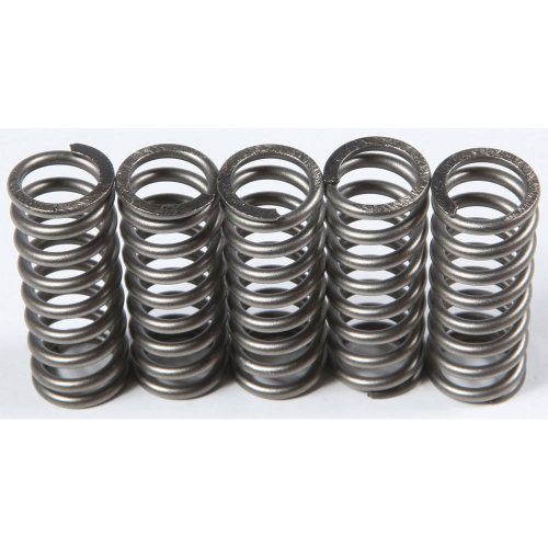 EBC - EBC CSK Clutch Spring Kit - CSK214