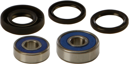 All Balls - All Balls Wheel Bearing and Seal Kit - 25-1179
