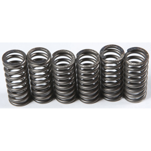 EBC - EBC CSK Clutch Spring Kit - CSK210