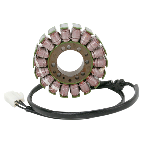 Ricks Motorsport Electric - Ricks Motorsport Electric Stator - 21-011