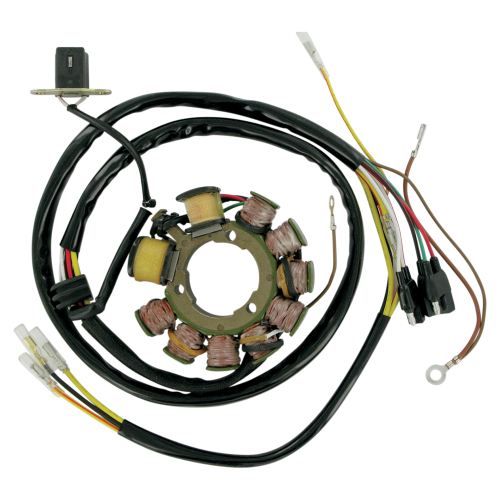 Ricks Motorsport Electric - Ricks Motorsport Electric Stator - 21-555