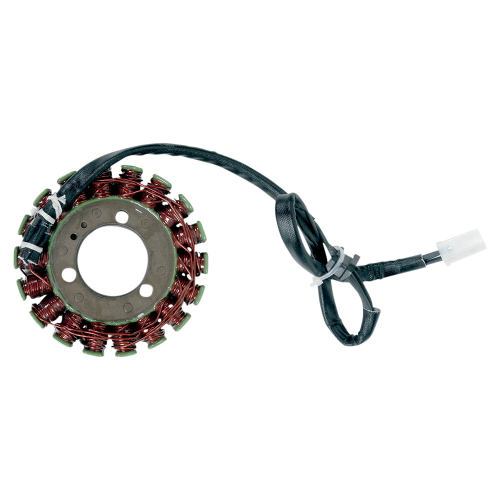 Ricks Motorsport Electric - Ricks Motorsport Electric Stator - 21-206