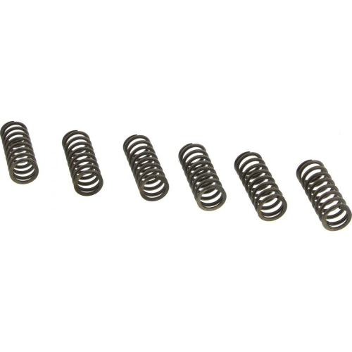 EBC - EBC CSK Clutch Spring Kit - CSK53