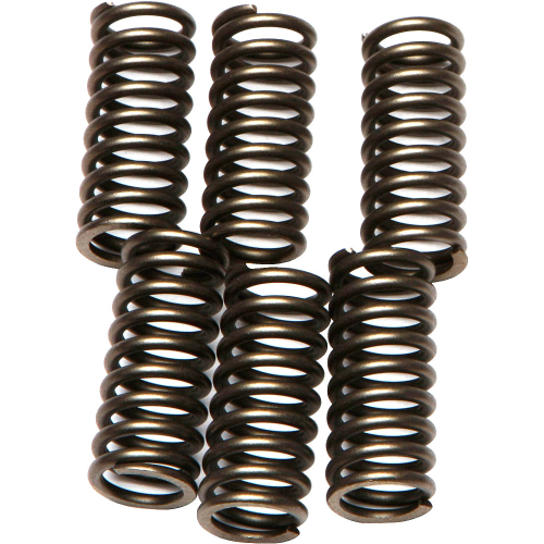 EBC - EBC CSK Clutch Spring Kit - CSK102