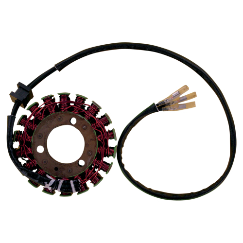 Ricks Motorsport Electric - Ricks Motorsport Electric Stator - 21-203