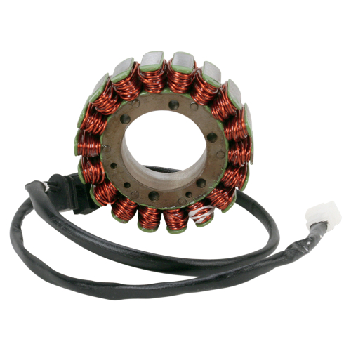 Ricks Motorsport Electric - Ricks Motorsport Electric Stator - 21-139