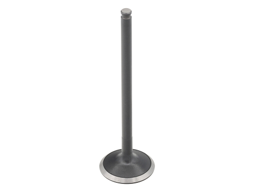 Bronco - Bronco Exhaust Valve - AU-09229E