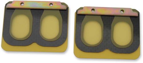 Boyesen - Boyesen Replacement Pro Series Reeds for Rad Valve - PSR-203